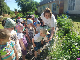 День рождения Ромашки День рождения Ромашки.